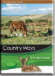 Country Ways - The New Forest