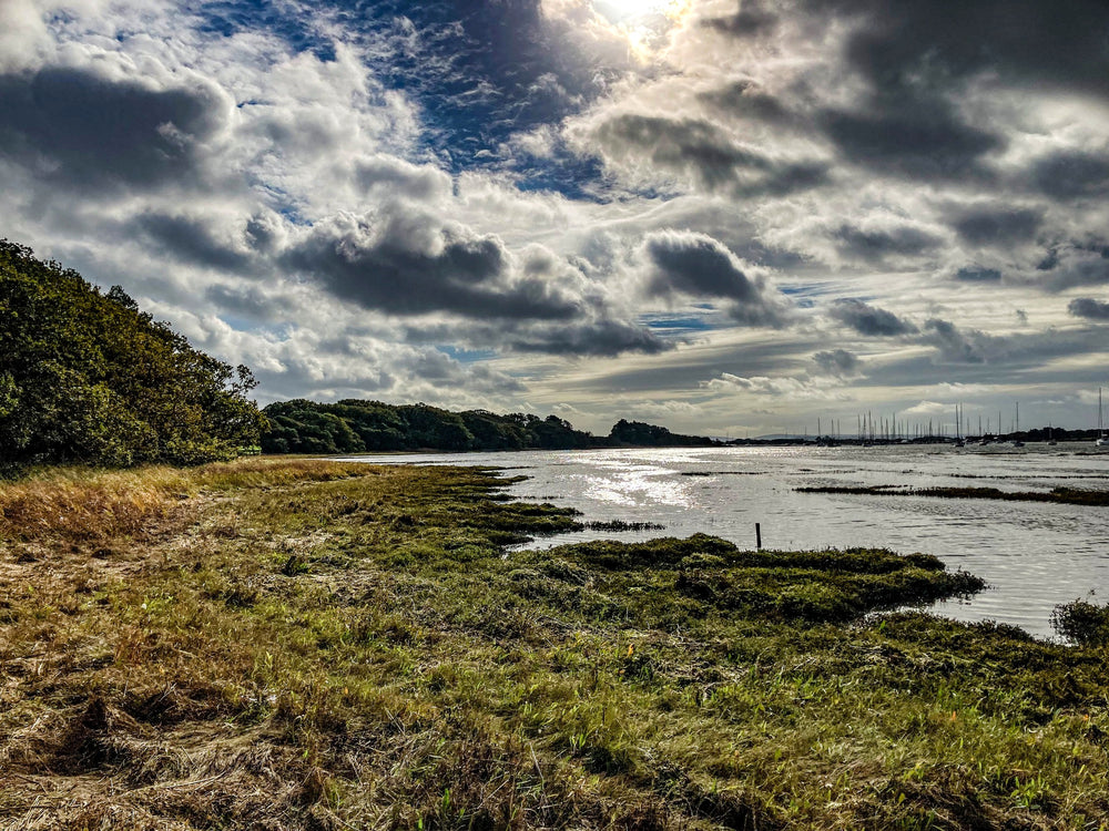 A quiet shoreline and saltmarsh beneath dramatic clouds