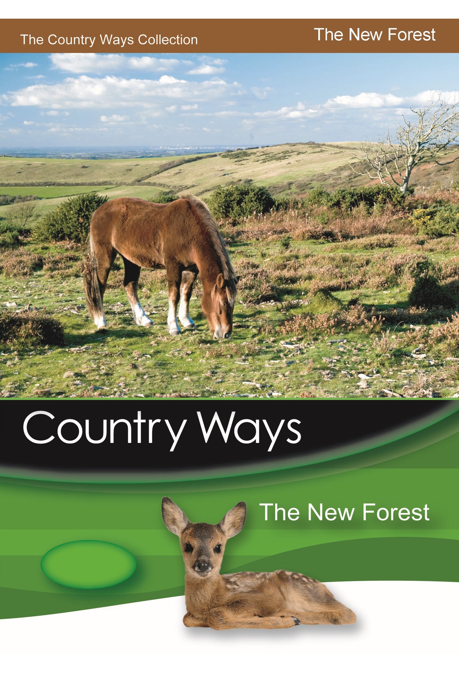Country Ways - The New Forest DVD — front cover