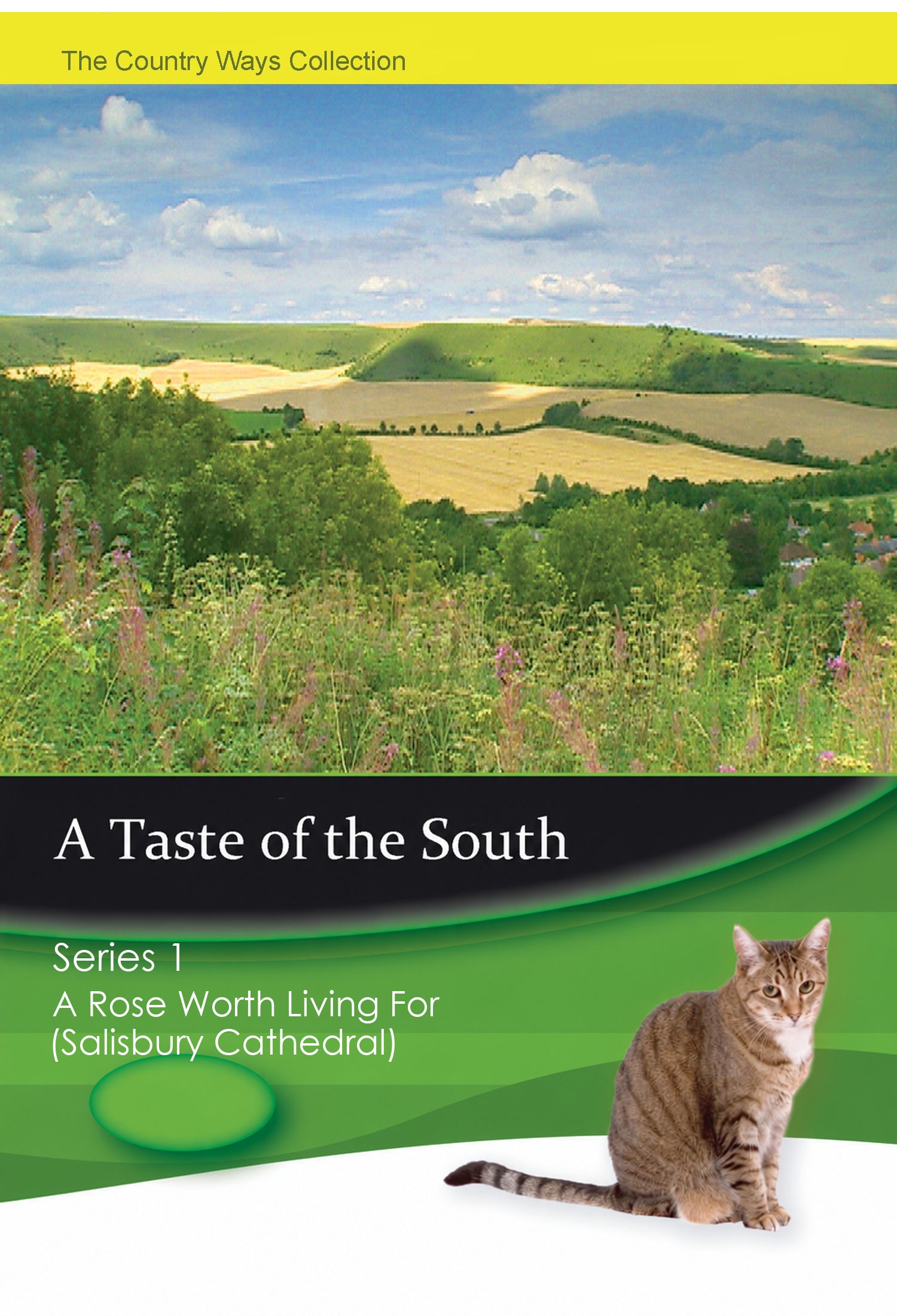A Taste of the South Series 1 – A Rose Worth Living For (Salisbury Cathedral) – individual DVD front cover