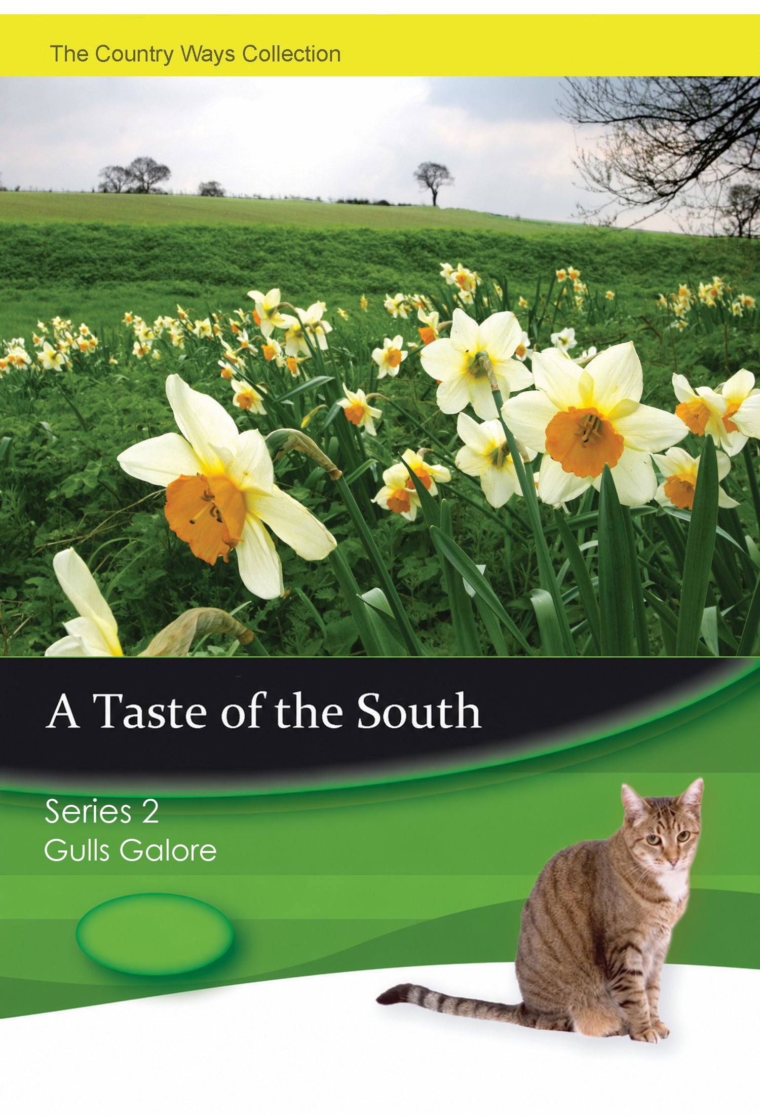 A Taste of the South Series 2 – Gulls Galore – individual DVD front cover
